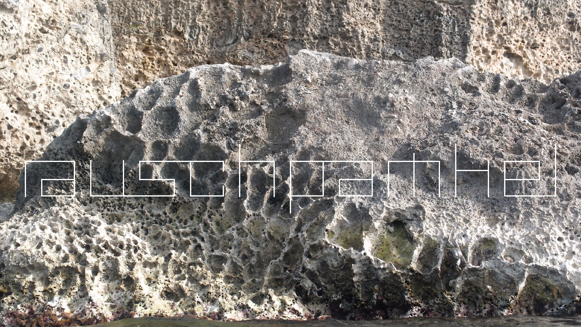 2022-04-18 02 Playa Lagun (Video)